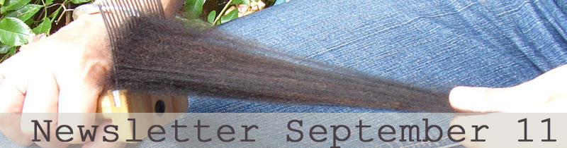 Banner image - puling fibre off a comb