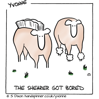 Two ewes shorn in creative ways. One has a mohican, the other has poodle-like puffs around its ankles. Caption is The shearer got bored